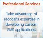 Professional Services